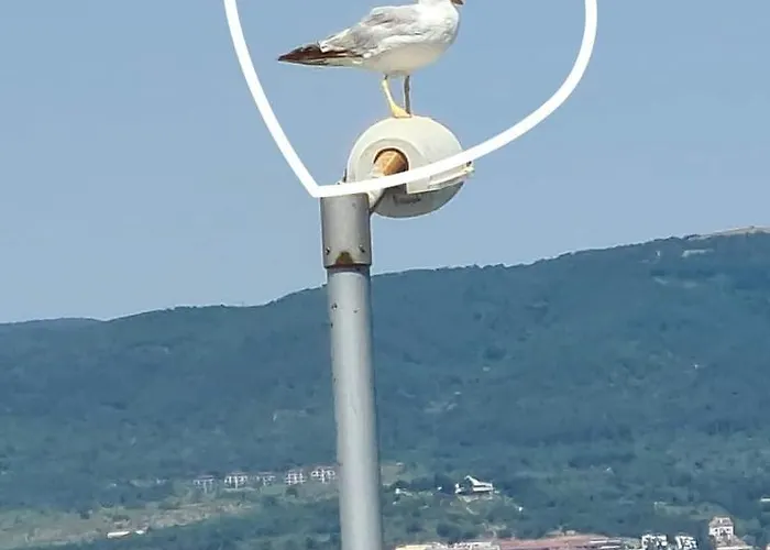 Sea View Private Paradiso B 508 Несебър